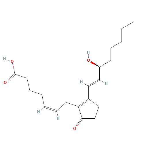 PROSTAGLANDIN B2 (CAS: 13367-85-6) - Chemical Structure and Molecular Formula 