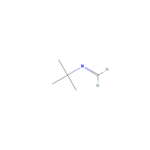 TERT-BUTYLAZOMETHINE (CAS: 13987-61-6) - Chemical Structure and Molecular Formula 