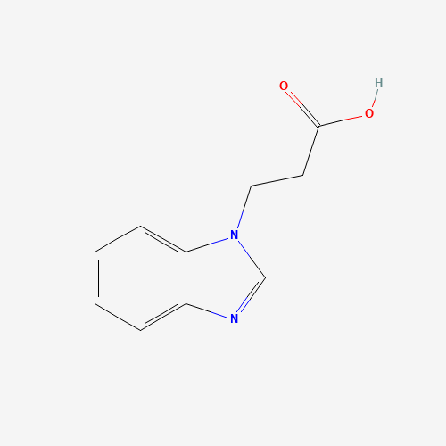 3-BENZOIMIDAZOL-1-YL-PROPIONIC ACID (CAS: 14840-18-7) - Related Chemical Product