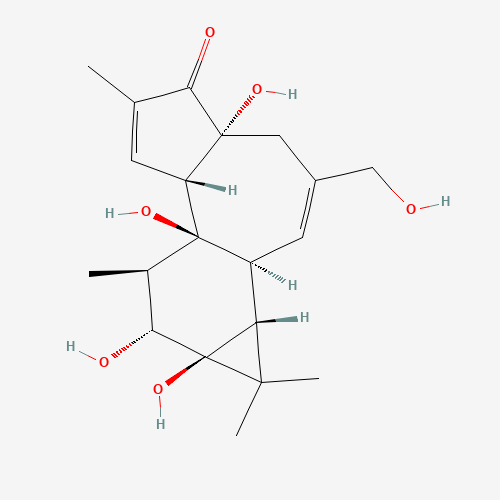 PHORBOL (CAS: 17673-25-5) - Related Chemical Product