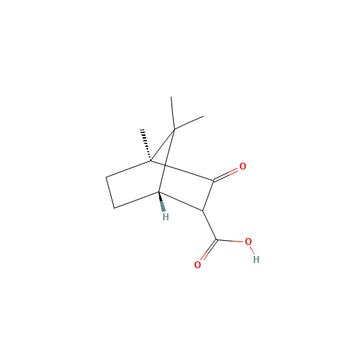 (-)-CAMPHORCARBOXYLIC ACID (CAS: 18530-29-5) - Related Chemical Product