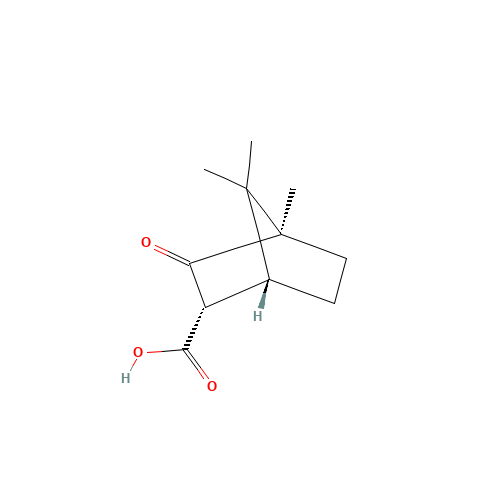 (+)-CAMPHORCARBOXYLIC ACID (CAS: 18530-30-8) - Related Chemical Product