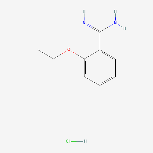 2-Ethoxybenzamidine hydrochloride (CAS: 18637-00-8) - Related Chemical Product