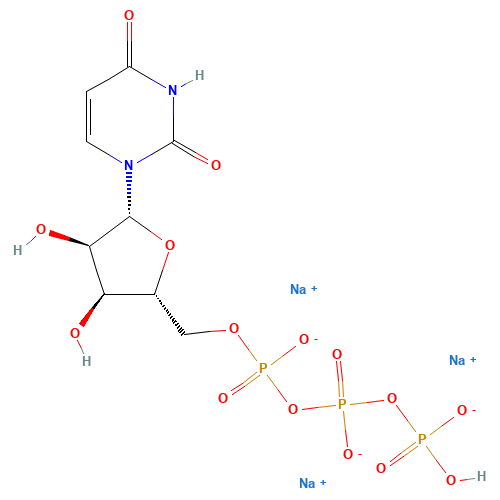 Uridine-5'-triphosphoric acid trisodium salt (CAS: 19817-92-6) - Related Chemical Product
