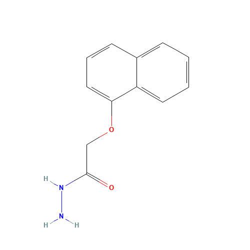 1-(NAPHTHOXY)ACETIC ACID HYDRAZIDE (CAS: 24310-15-4) - Related Chemical Product