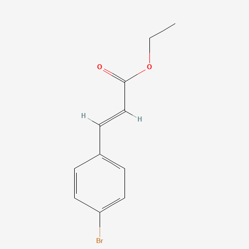 ETHYL TRANS-4-BROMOCINNAMATE (CAS: 24393-53-1) - Related Chemical Product