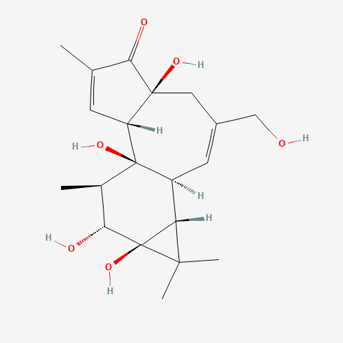 4ALPHA-PHORBOL (CAS: 26241-63-4) - Related Chemical Product