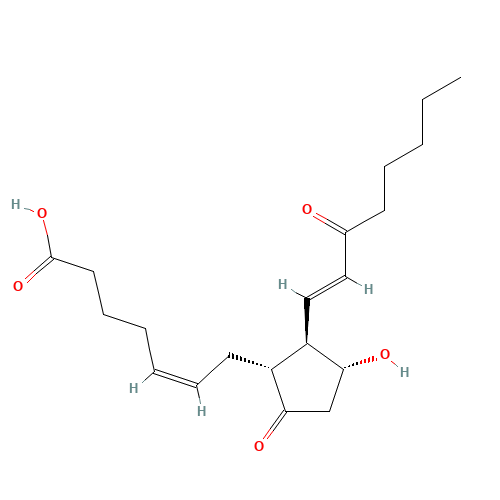 15-KETO PROSTAGLANDIN E2 (CAS: 26441-05-4) - Related Chemical Product