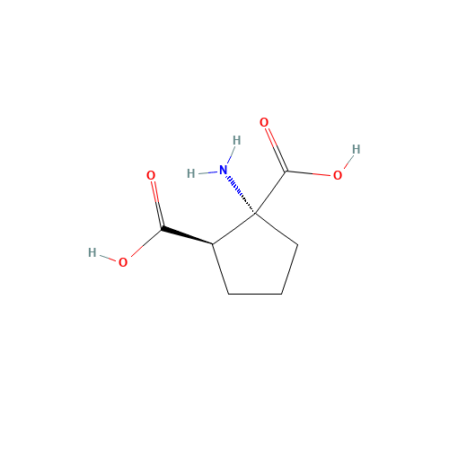 (+/-)-1-AMINOCYCLOPENTANE-CIS-1,2-DICARBOXYLIC ACID (CAS: 39026-64-7) - Related Chemical Product