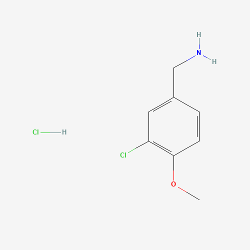 3-CHLORO-4-METHOXYBENZYLAMINE HYDROCHLORIDE (CAS: 41965-95-1) - Related Chemical Product