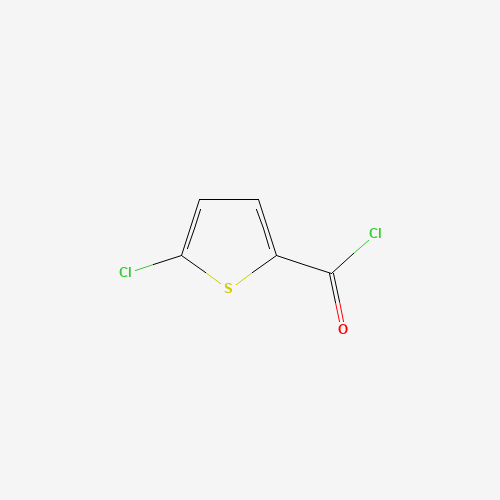5-CHLOROTHIOPHENE-2-CARBONYL CHLORIDE (CAS: 42518-98-9) - Related Chemical Product