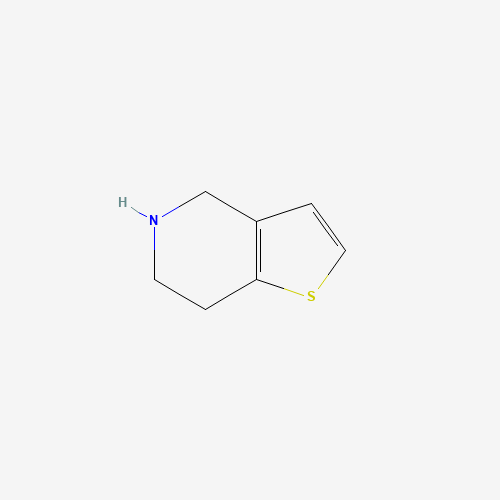4,5,6,7-Tetrahydrothieno[3,2-c]pyridine (CAS: 54903-50-3) - Related Chemical Product