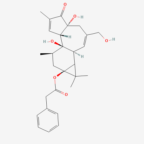 12-DEOXYPHORBOL 13-PHENYLACETATE (CAS: 58821-98-0) - Related Chemical Product
