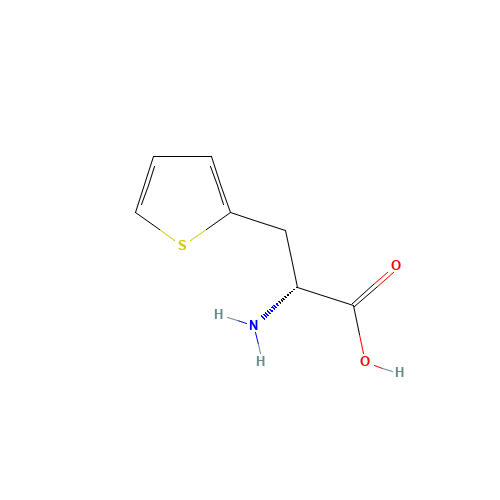 D-2-THIENYLALANINE (CAS: 62561-76-6) - Related Chemical Product