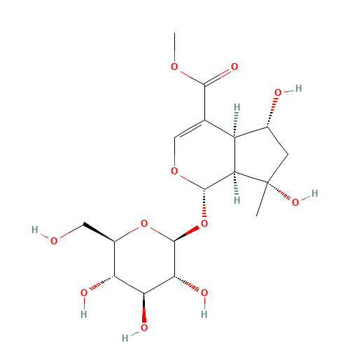 SHANZHISIDE METHYL ESTER (CAS: 64421-28-9) - Related Chemical Product