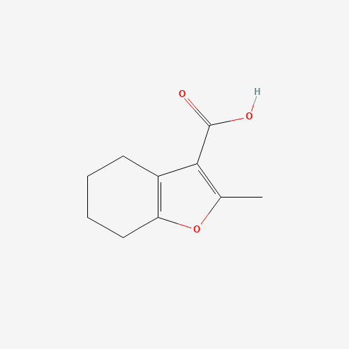 2-METHYL-4,5,6,7-TETRAHYDRO-1-BENZOFURAN-3-CARBOXYLIC ACID (CAS: 65384-02-3) - Related Chemical Product