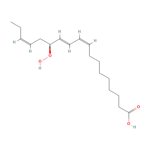 13(S)-HYDROPEROXY-(9Z,11E,15Z)-OCTADECATRIENOIC ACID (CAS: 67597-26-6) - Related Chemical Product