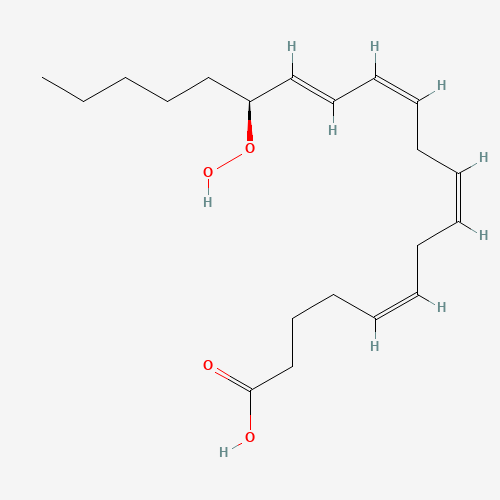 15(S)-HPETE (CAS: 70981-96-3) - Related Chemical Product