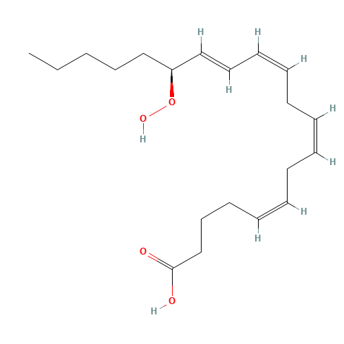 15(S)-HPETE (CAS: 70981-96-3) - Related Chemical Product
