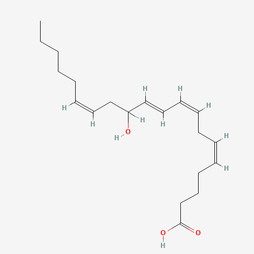 (+/-)12-HETE (CAS: 71030-37-0) - Related Chemical Product