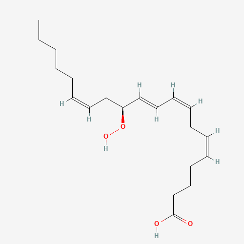 12(S)-HPETE (CAS: 71774-10-2) - Related Chemical Product