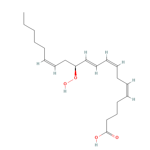 12(S)-HPETE (CAS: 71774-10-2) - Related Chemical Product