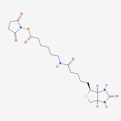 Succinimidyl 6-(biotinamido)hexanoate (CAS: 72040-63-2) - Related Chemical Product