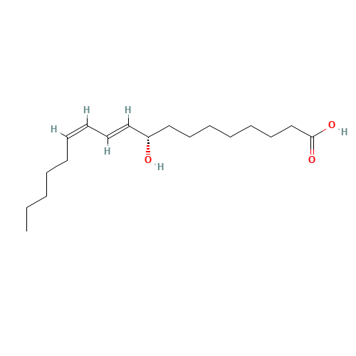 9(S)-HODE (CAS: 73543-67-6) - Related Chemical Product