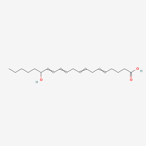 (+/-)15-HETE (CAS: 73836-87-0) - Related Chemical Product
