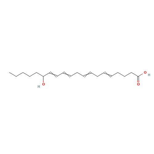 (+/-)15-HETE (CAS: 73836-87-0) - Related Chemical Product