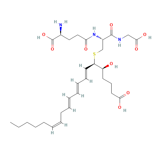 11-TRANS LEUKOTRIENE C4 (CAS: 74841-69-3) - Related Chemical Product