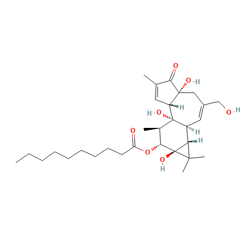 PHORBOL-12-DECANOATE (CAS: 76423-68-2) - Related Chemical Product