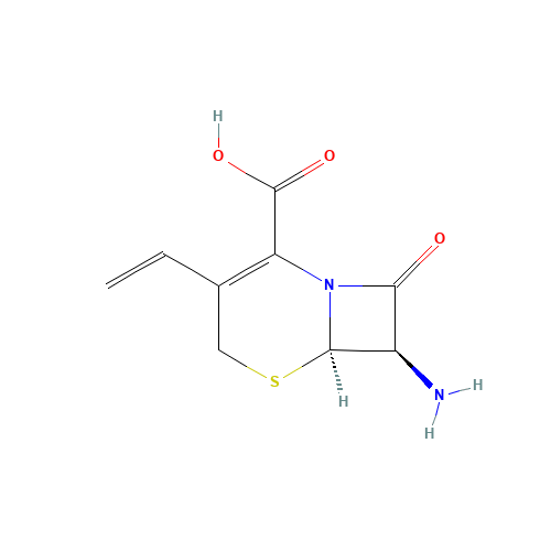 7-AVCA (CAS: 79349-82-9) - Related Chemical Product