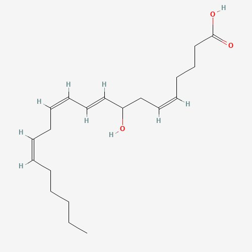 (+/-)8-HETE (CAS: 79495-84-4) - Related Chemical Product