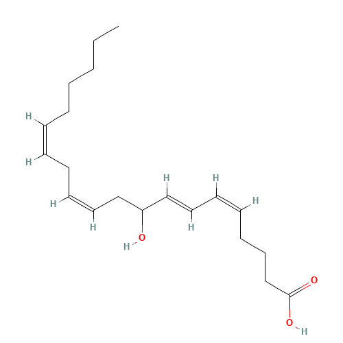 9(S)-HETE (CAS: 79495-85-5) - Related Chemical Product