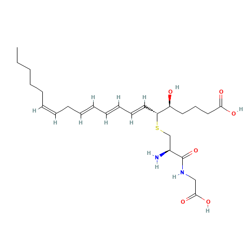 11-TRANS LEUKOTRIENE D4 (CAS: 79768-40-4) - Related Chemical Product