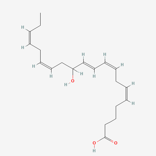 (+/-)-12-HYDROXY-5Z,8Z,10E,14Z,17Z-EICOSAPENTAENOIC ACID (CAS: 81187-21-5) - Related Chemical Product