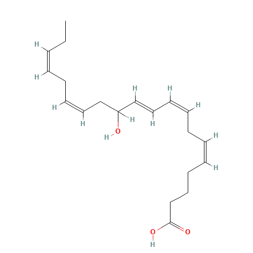 (+/-)-12-HYDROXY-5Z,8Z,10E,14Z,17Z-EICOSAPENTAENOIC ACID (CAS: 81187-21-5) - Related Chemical Product