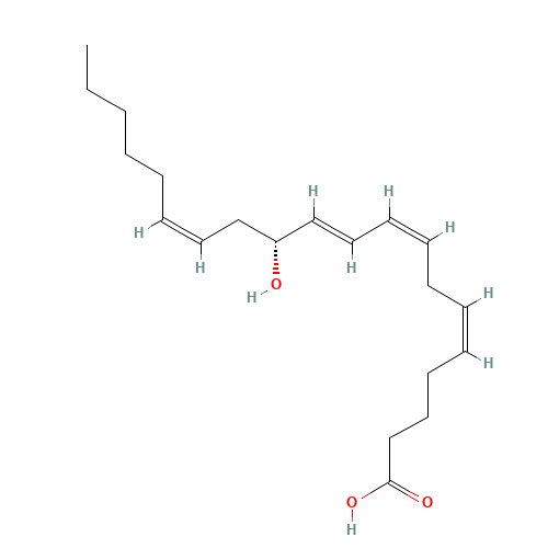 12(R)-HETE (CAS: 82337-46-0) - Related Chemical Product