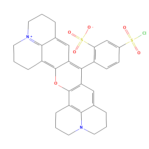 SULFORHODAMINE 101 ACID CHLORIDE (CAS: 82354-19-6) - Related Chemical Product