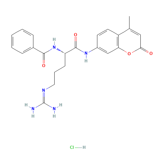 N-ALPHA-BENZOYL-L-ARGININE 7-AMIDO-4-METHYLCOUMARIN HYDROCHLORIDE (CAS: 83701-04-6) - Related Chemical Product