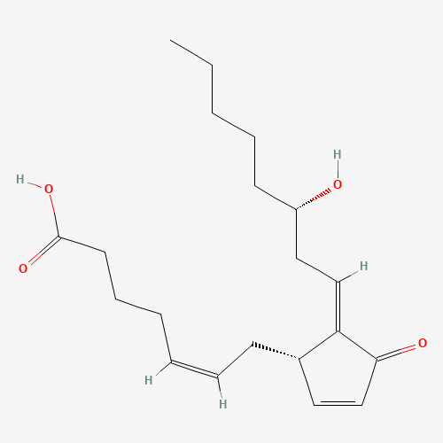 DELTA12-PROSTAGLANDIN J2 (CAS: 87893-54-7) - Related Chemical Product