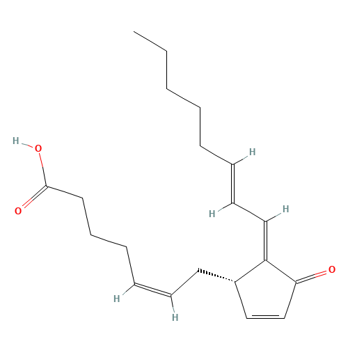15D-PGJ2 (CAS: 87893-55-8) - Related Chemical Product