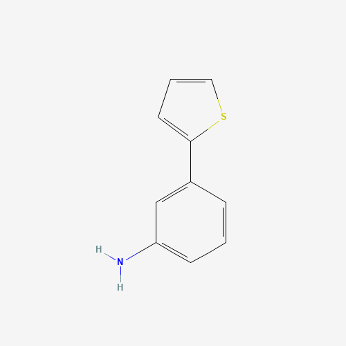 3-(2-THIENYL)ANILINE (CAS: 92057-12-0) - Related Chemical Product