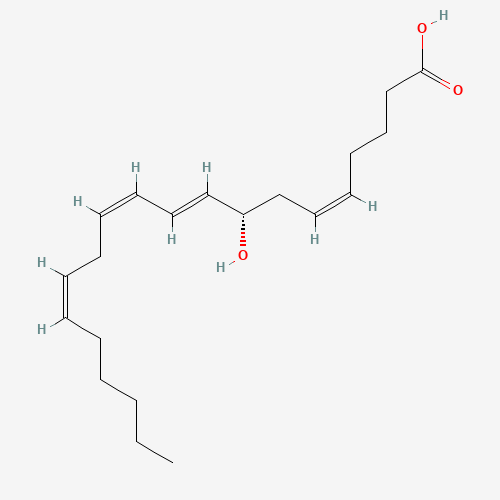 8(S)-HETE (CAS: 98462-03-4) - Related Chemical Product