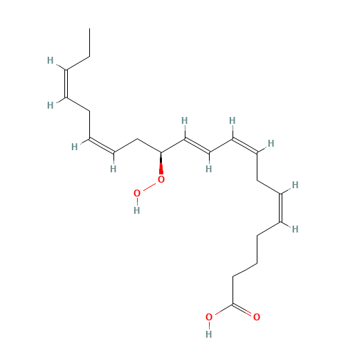 12(S)-HPEPE (CAS: 103239-14-1) - Related Chemical Product