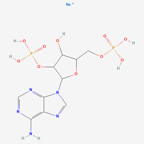 ADENOSINE 2',5'-DIPHOSPHATE SODIUM SALT (CAS: 108347-94-0) - Related Chemical Product