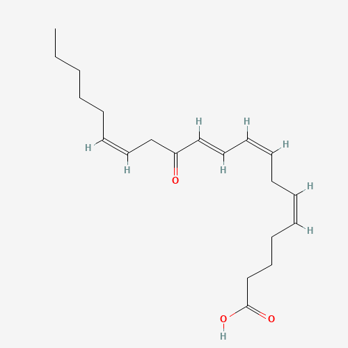 12-KETE (CAS: 108437-64-5) - Related Chemical Product