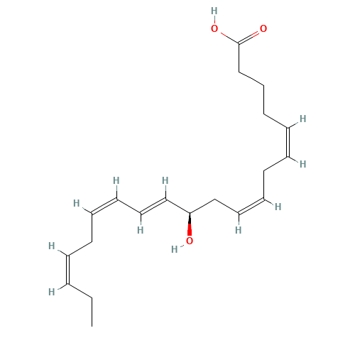 11(R)-HEPE (CAS: 109430-11-7) - Related Chemical Product