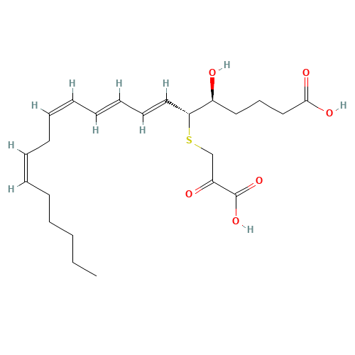 5S-HYDROXY-6R-(S-(2-OXO-3-THIOPROPIONYL))-7E,9E,11Z,14Z-EICOSATETRAENOIC ACID (CAS: 117675-20-4) - Related Chemical Product